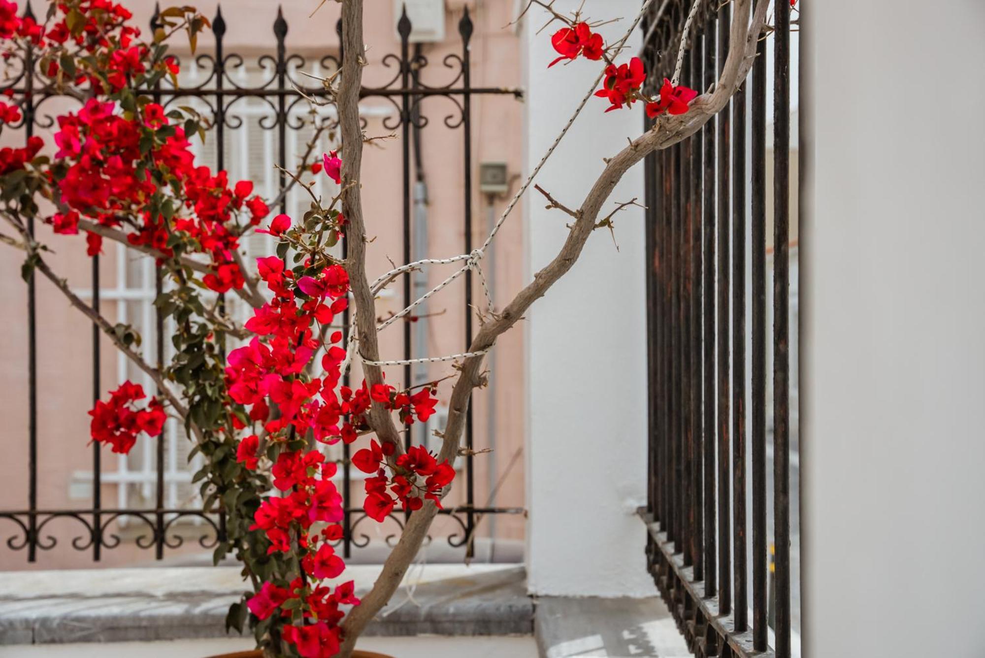 Archontiko Eleni Hotel Andros Town Exterior photo
